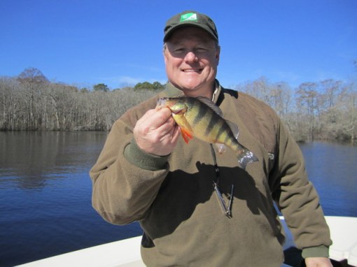 Scott Evander adds a colorful perch to the box