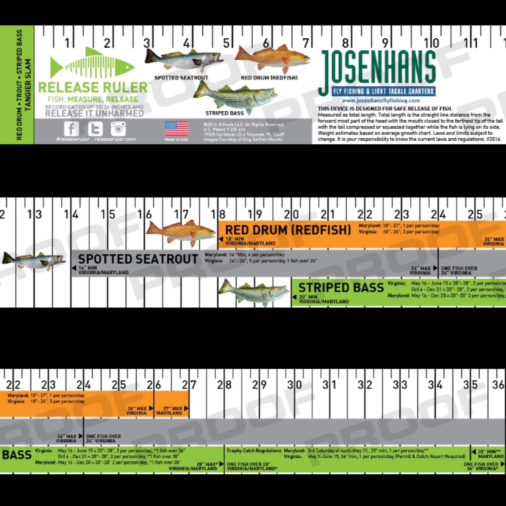 Largemouth Bass Ruler – Decal – Release Ruler
